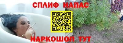 спайс Кунгур